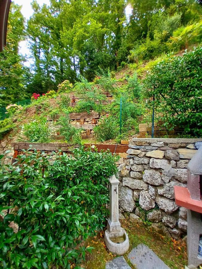 Le Grigne Guest House Oliveto Lario Exterior photo